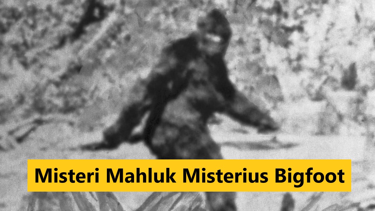Misteri Mahluk Misterius Bigfoot